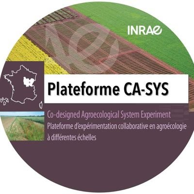 Long-term #agroecological system experiment (Dijon, FR) @INRAE_France
#tillage & #notill & #biodiversity-based systems  #Agroécologie #agriculture #experiment