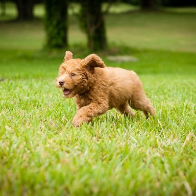 DennyMoller1's profile picture. I’m nobody that nobody sent!