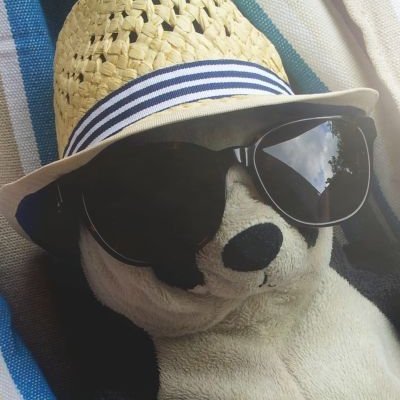 can12990801's profile picture. 