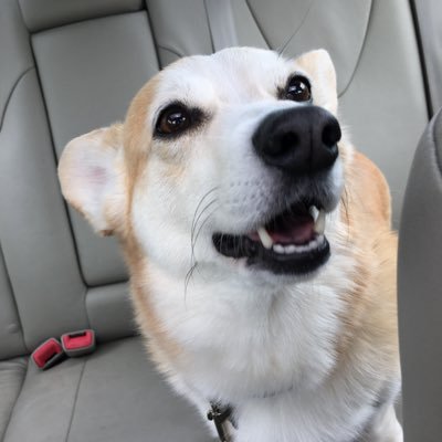 pwilkison's profile picture. "Ah, but I was so much older then I'm younger than that now."   (paula.wilkison on Threads; @pwilkison.bsky.social on BlueSky)