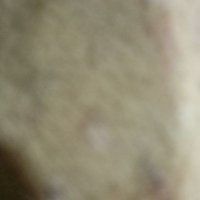 اصيل (@ncnqdpbi3ajjhqb) 's Twitter Profile