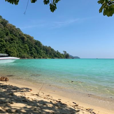 bonvoyage026's profile picture. パイロット目指してます。皆さんと情報共有したいです。よろしくお願いします。