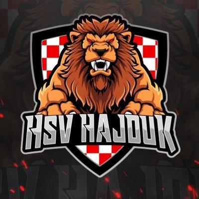 HSV Hajduk eSports