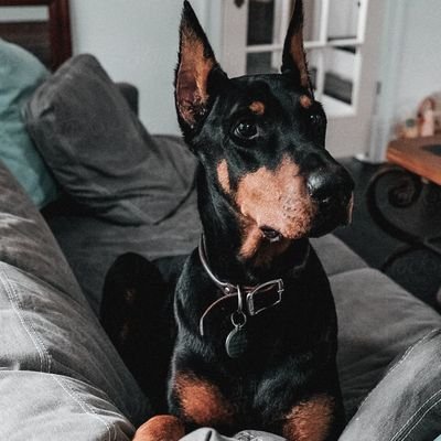 p9we9pTUrfNukv4's profile picture. 