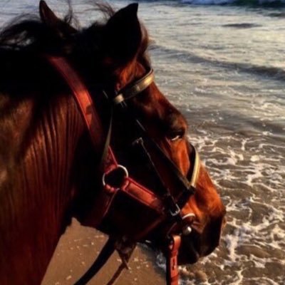 qillxs's profile picture. قلب يتمنى وربّ كريم.