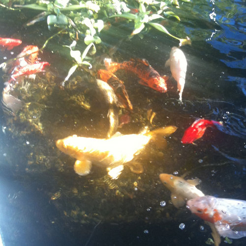 carlp99's profile picture. 