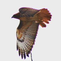 julieb (@julieb232) 's Twitter Profile
