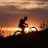Ian Kucerak