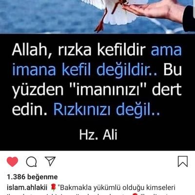 ysfkrstl's profile picture. YENİ HESAP