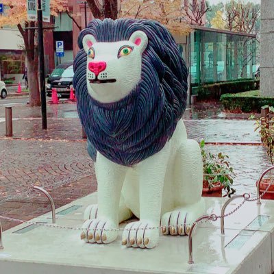 たんこさんのプロフィール画像