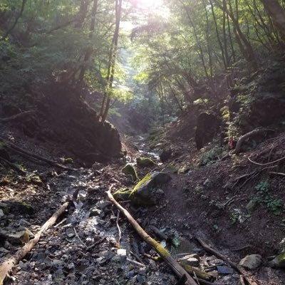 xperia1res's profile picture. ✨食べたいものを好きなだけ食べても良いように管理しています✨コンセプトは「楽しめる選択を」