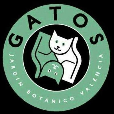 Los gatos de Jardín Botánico de Valencia y los voluntarios responsables de ellos, dan la bienvenida a todos sus amigos. E-mail: gatsdelbotanic@gmail.com