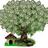 CALANTHA12's profile image