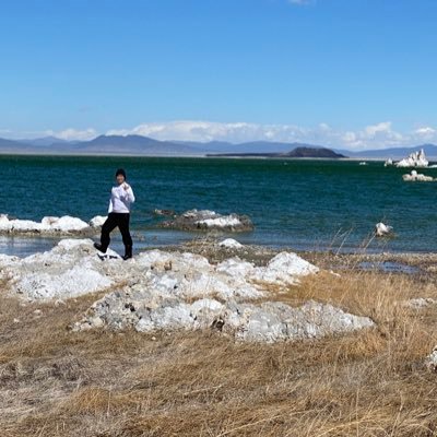 austin_mmo's profile picture. Web designer