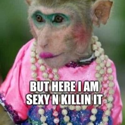 CrazyEy33395794's profile picture. A straight shooter from a farming family!