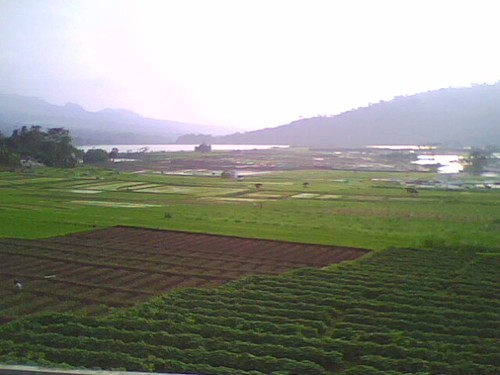 MuniraMunik's profile picture. 