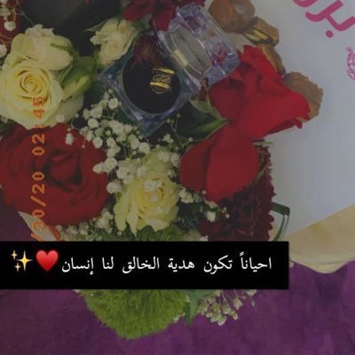 وكيلة حاصلة على البكالوريوس في الدراسات الاسلاميه احب الصمت والهدوء فهو نصف مزاجي في الهدوء نعيم، وفي الصمت حياة، وما بين الاثنين تفاصيل لا أحد يدركها.