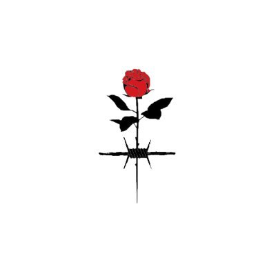 STFlow_Supremo's profile picture. Tienda de Ropa online