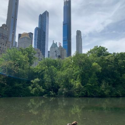 bacanoychevere's profile picture. Just a man supporting another man for stepping up to defend mankind.They aren’t after him , they are after YOU#TRUMP2020