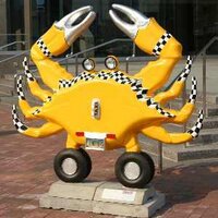 SupernovaMAGA Taxi Crabb (Parody)(@TaxiCrabb) 's Twitter Profile Photo