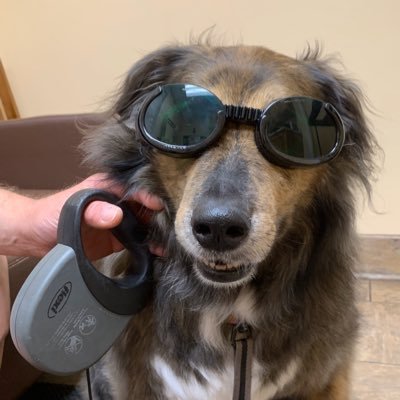 KenD1967's profile picture. Radiologic Technologist, Proud Patriot, ALWAYS Trumper. I back the blue and support our great Military. For God and Country 🇺🇸 IFBAP