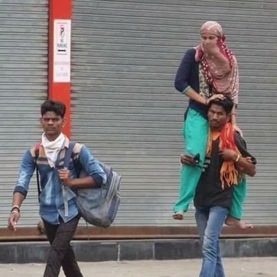 MSMalik35105351's profile picture. no