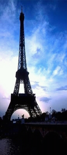 Kiwonderboy's profile picture. 