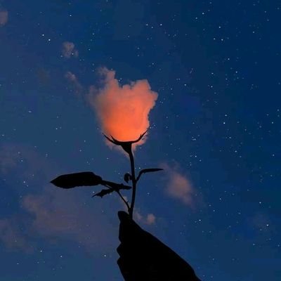 Mukhthon's profile picture. Python | Cloud | Poetry