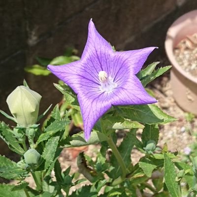 hrk_y_31's profile picture. 長谷川博己さんが大好き✨です
サザンはデビューからずーっと応援しています❤️