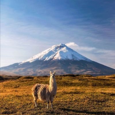 edrobb19's profile picture. 