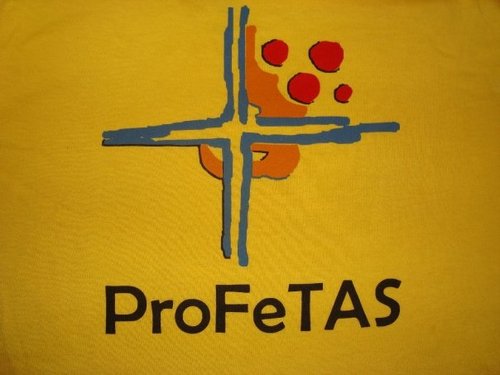 EXPROFETASUDEM's profile picture. 