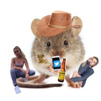 Celibate Chris (@celibatechris) 's Twitter Profile