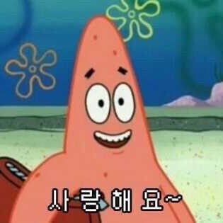 chim__kk's profile picture. 