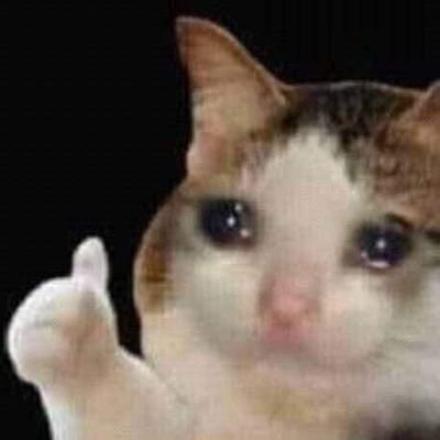 JPpotato1's profile picture. 