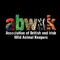 ABWAK (@abwak) 's Twitter Profile
