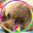 minnie_co