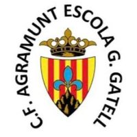 cfAgramunt (@agramuntcf) 's Twitter Profile