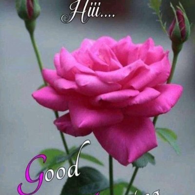 namakantimadhu's profile picture. namakanti madhu kumar