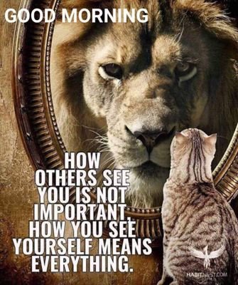 NadarajahKumar's profile picture. 