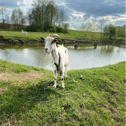 VKubson's profile picture. 