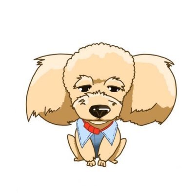 aminaさんのプロフィール画像