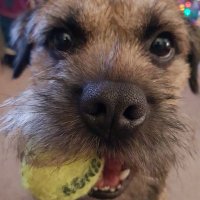 Dave Icke 🔴⚫️🔴⚫️ (@daveicke) 's Twitter Profile Photo Dave Icke 🔴⚫️🔴⚫️ (@daveicke) 's Twitter Profile Photo