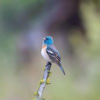 r (@_rodrigose) 's Twitter Profile