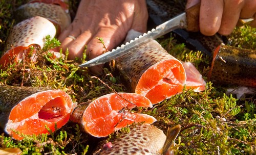 Napp 2010 are dedicated trout fishermen. We explore the best lakes in the Norwegian wilderness. Get tips and advice about trout fishing and hiking.