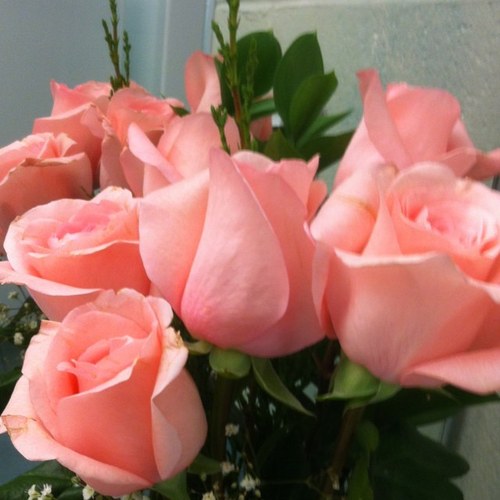 rejoyce2day's profile picture. 