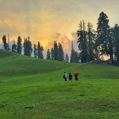 Mahu is a Place Full of Meadows and Beautiful Landscapes It is Situated Near Banihal Jammu and Kashmir Follow us For The Journey of Mahuvalley