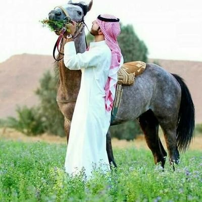 ‏‏‏‏‏‏‏‏من عمرنا نطنخ ولا همنا شي وشلون ما نطنخ وحنا طنايا