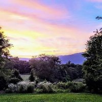 yourenotthebossofme (@museisluse) 's Twitter Profile