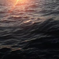 Barış Manisa avli ciflare ucuncu olurum (@manisa_bar) 's Twitter Profile