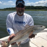 Marty Dietz (@martydietz50) 's Twitter Profile Photo